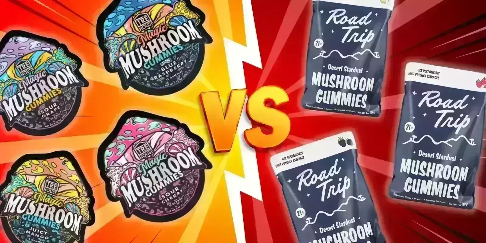 TRE House Vs Road Trip: A Complete Comparison Guide